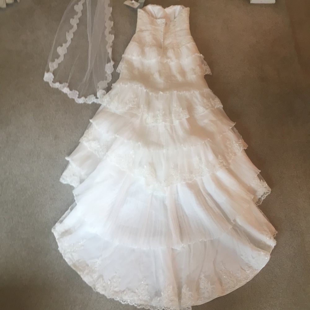 David’s Bridal Ivory Wedding Gown and Head Piece - Picture 3 of 8